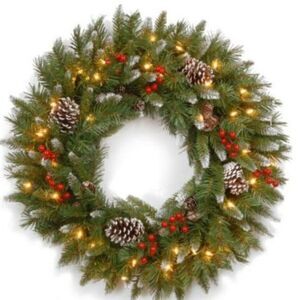 National Tree Company 30-in Pre-lit Outdoor Green Pinecones Artificial Christmas
